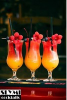 Slymicocktails-Cocktail Bar