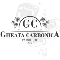 Gheata Carbonica Targu Jiu - Image 1/10